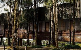 Teras Hotel Ijen Banyuwangi